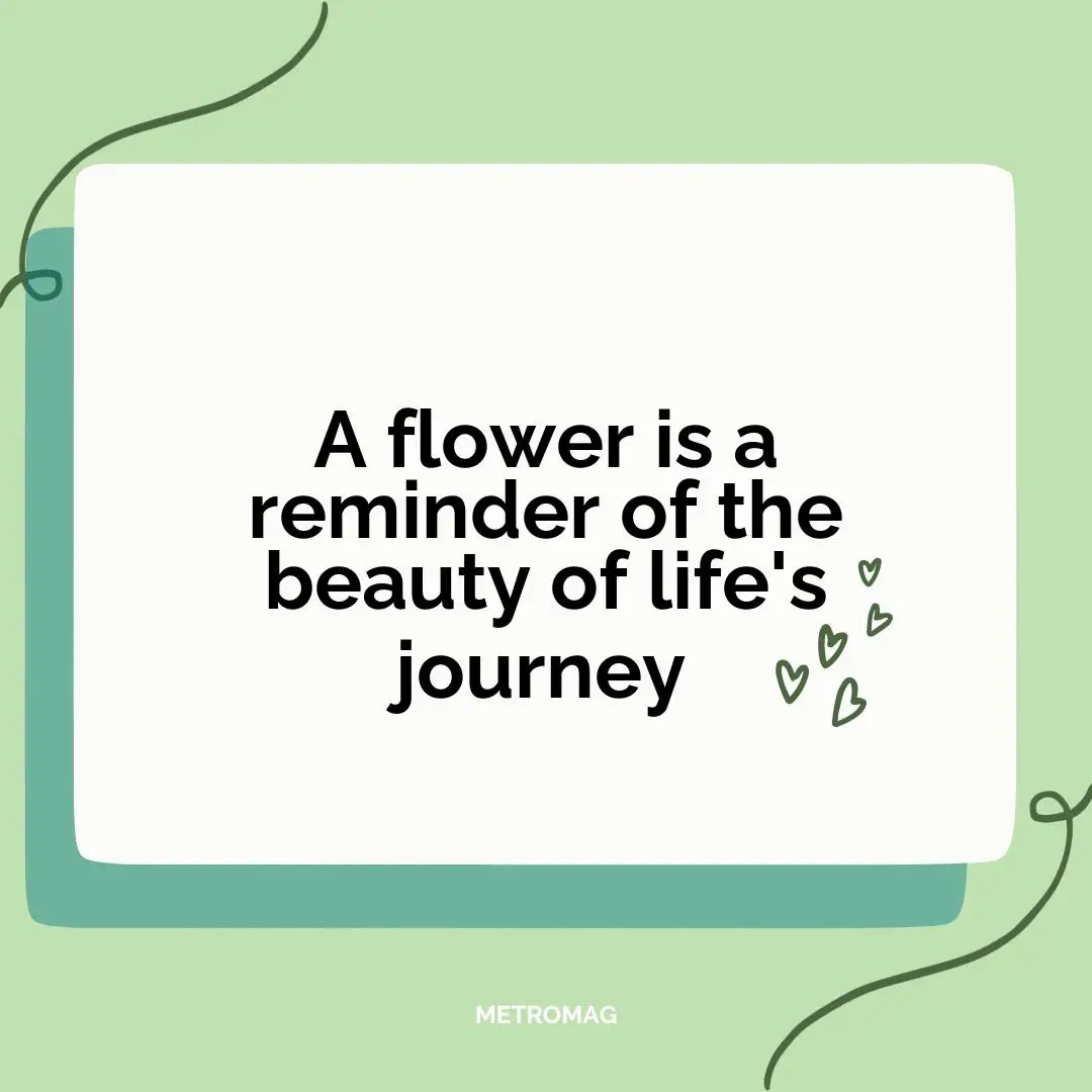 A flower is a reminder of the beauty of life's journey