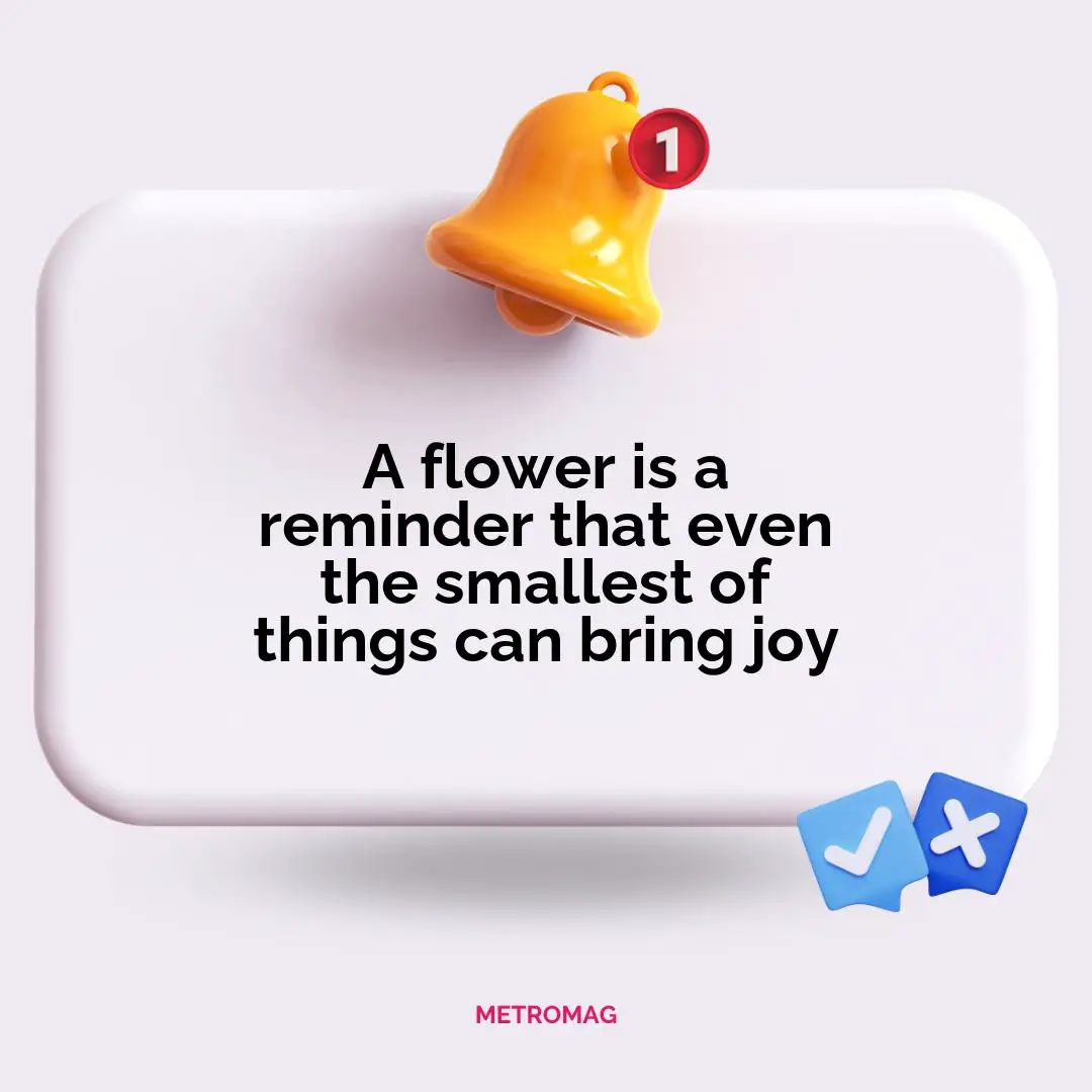 A flower is a reminder that even the smallest of things can bring joy