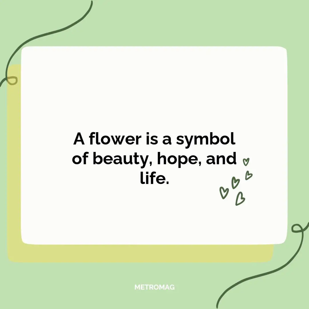 A flower is a symbol of beauty, hope, and life.