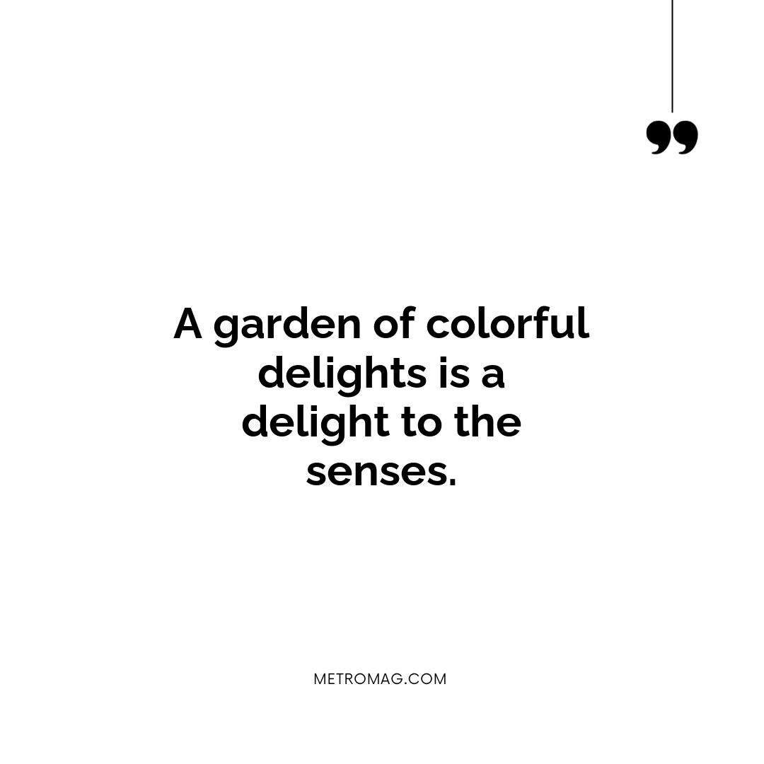 A garden of colorful delights is a delight to the senses.