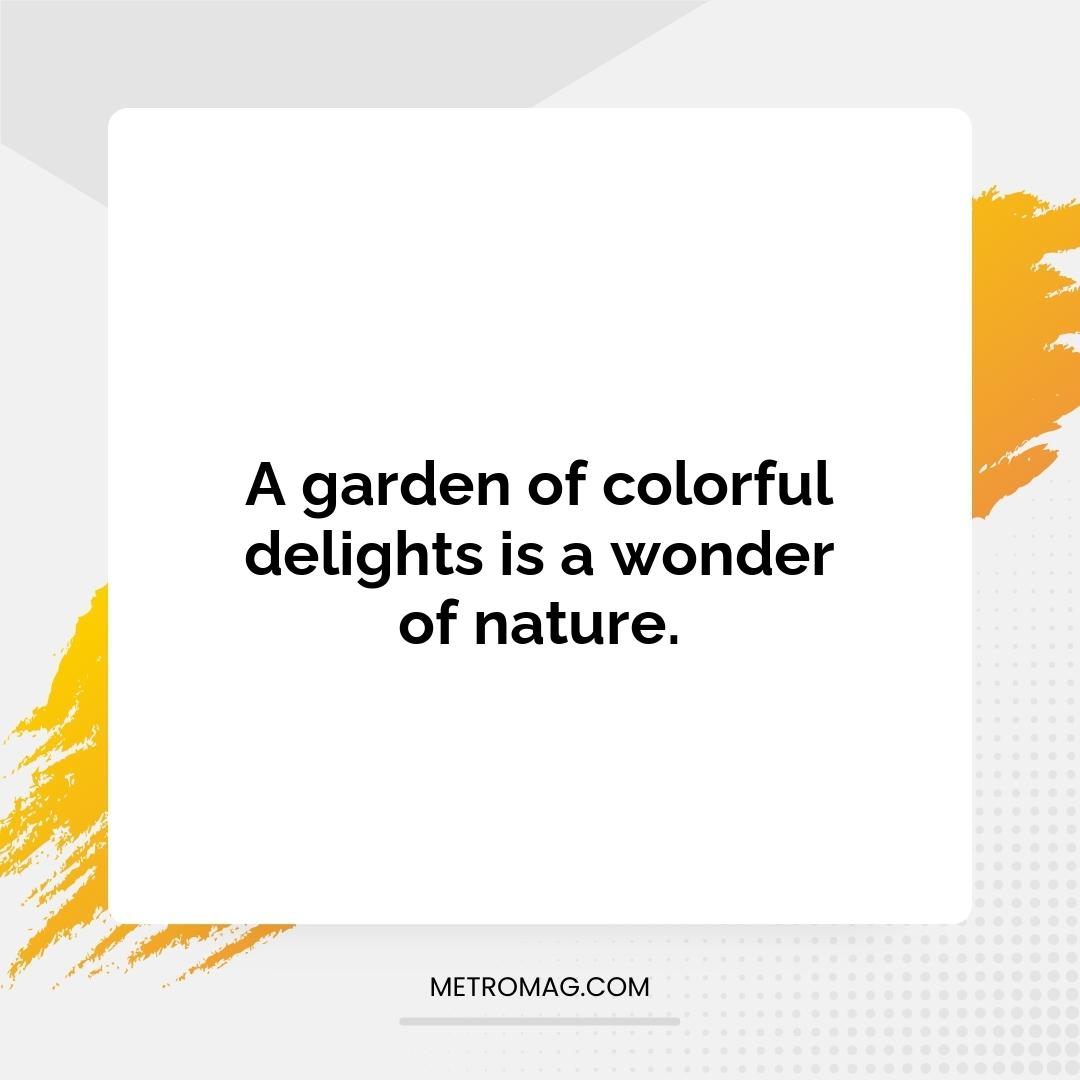 A garden of colorful delights is a wonder of nature.
