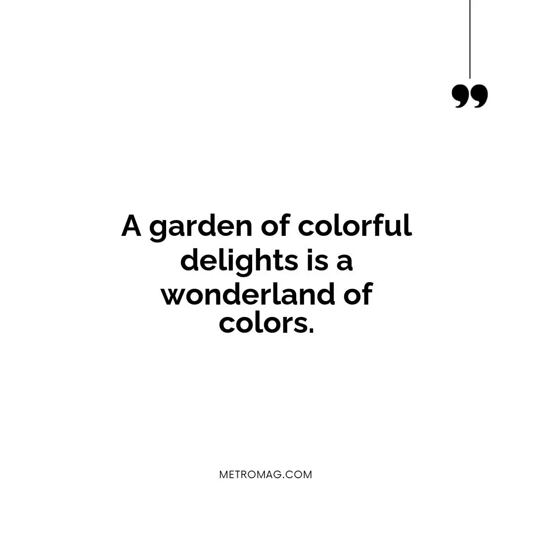 A garden of colorful delights is a wonderland of colors.