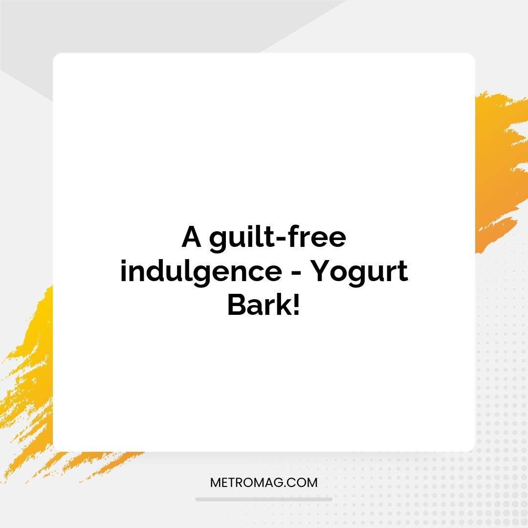 A guilt-free indulgence - Yogurt Bark!