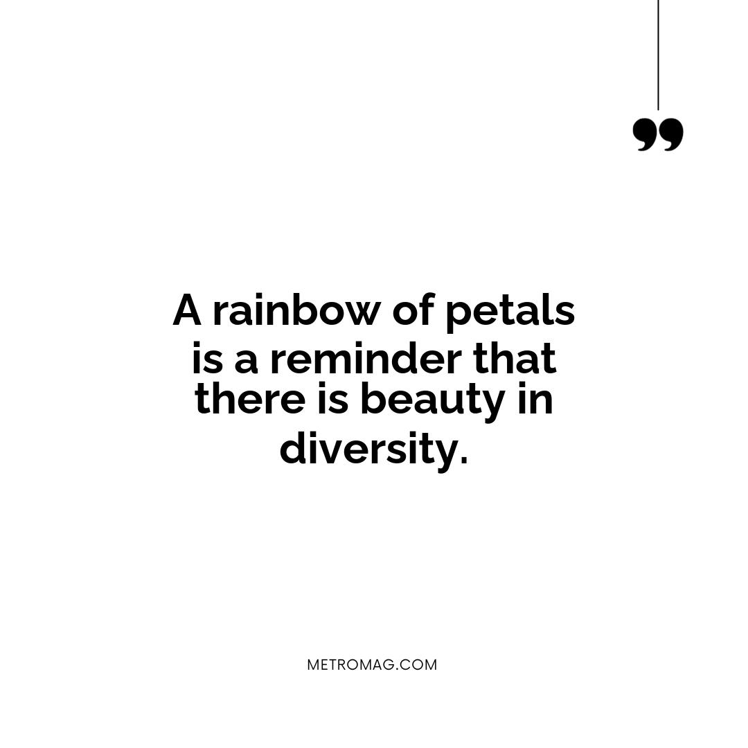 A rainbow of petals is a reminder that there is beauty in diversity.