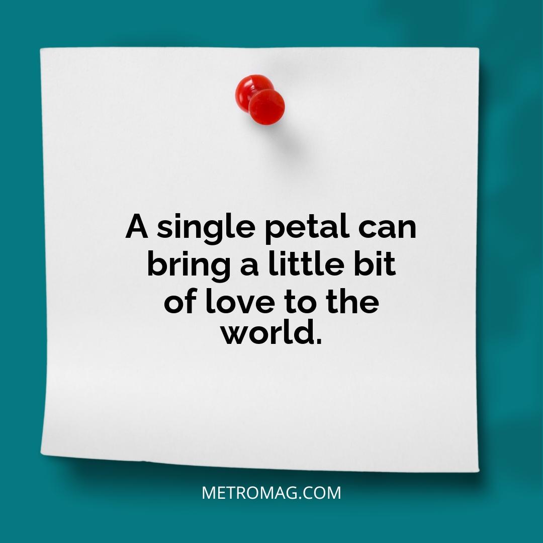 A single petal can bring a little bit of love to the world.