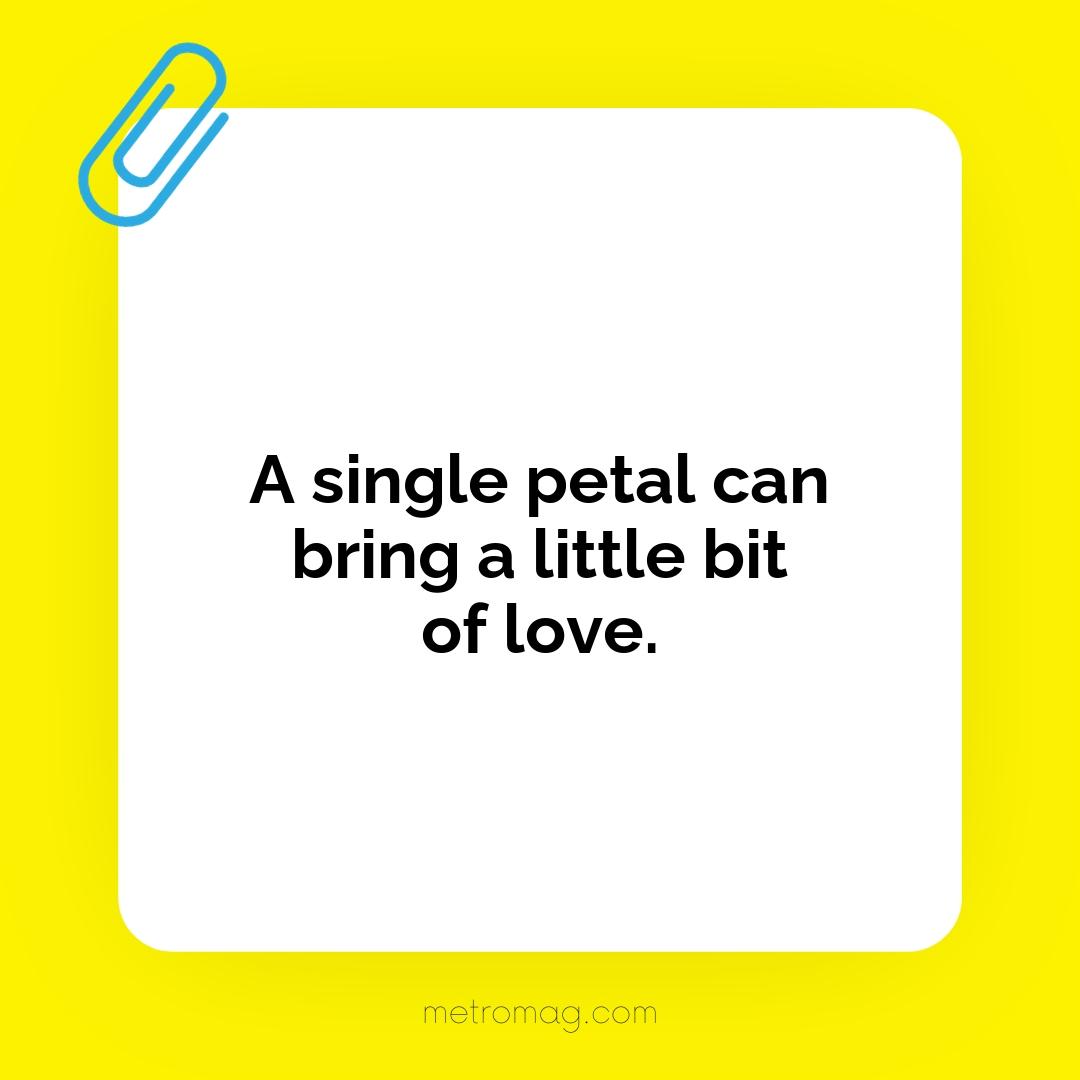 A single petal can bring a little bit of love.