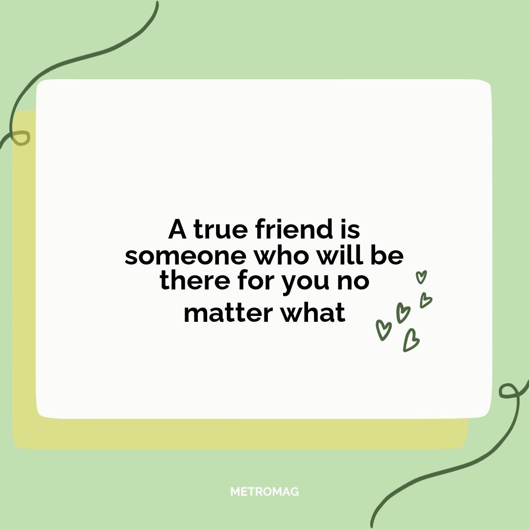 A true friend is someone who will be there for you no matter what