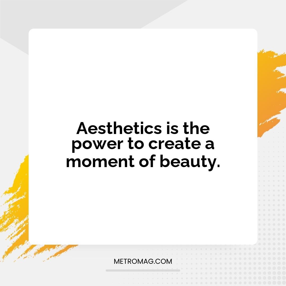 Aesthetics is the power to create a moment of beauty.