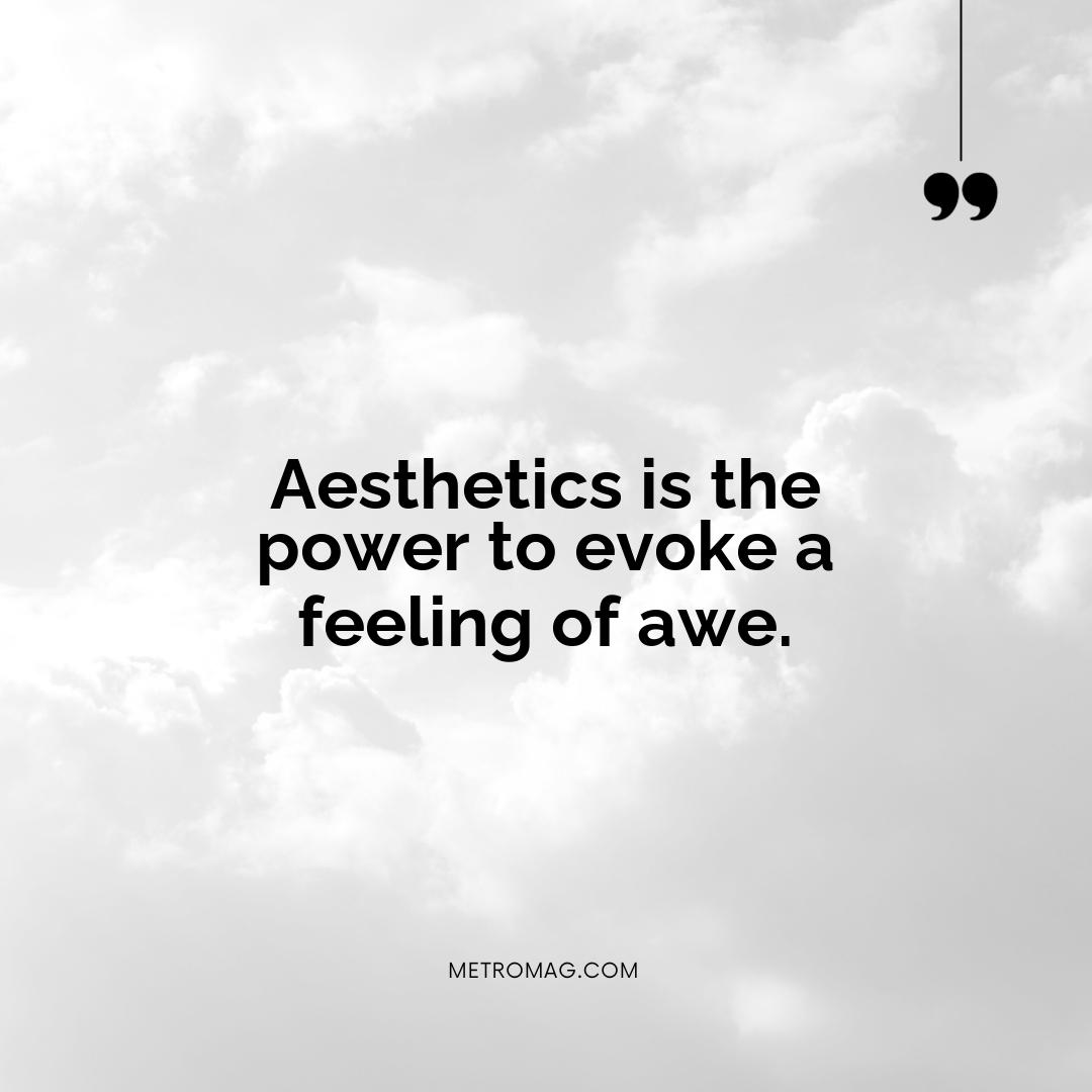 Aesthetics is the power to evoke a feeling of awe.