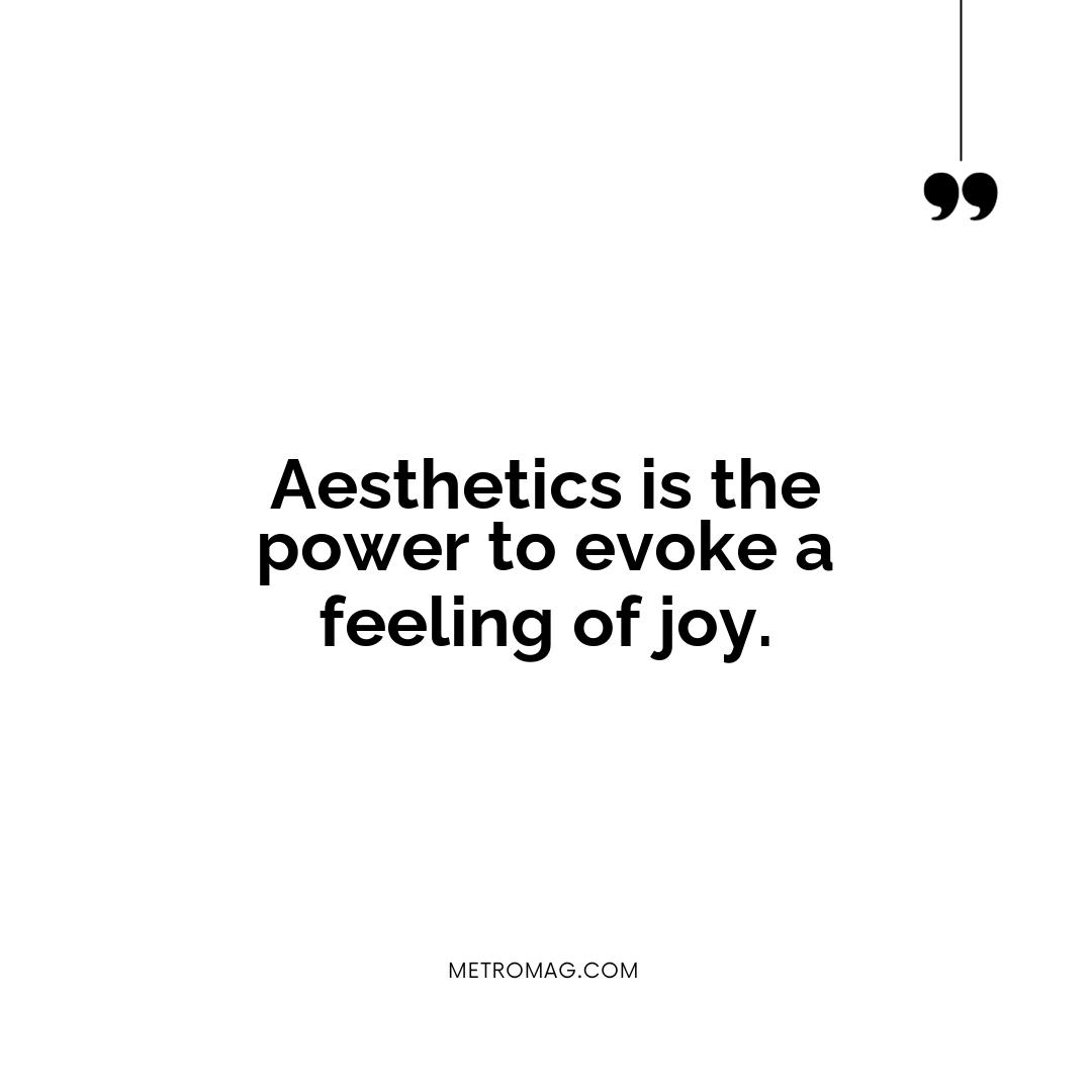 Aesthetics is the power to evoke a feeling of joy.