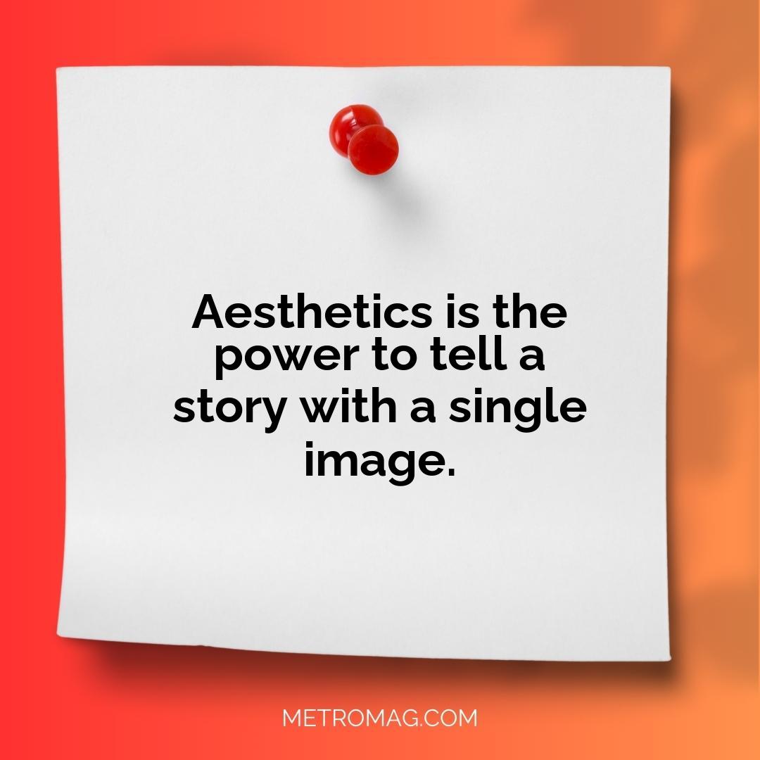 Aesthetics is the power to tell a story with a single image.