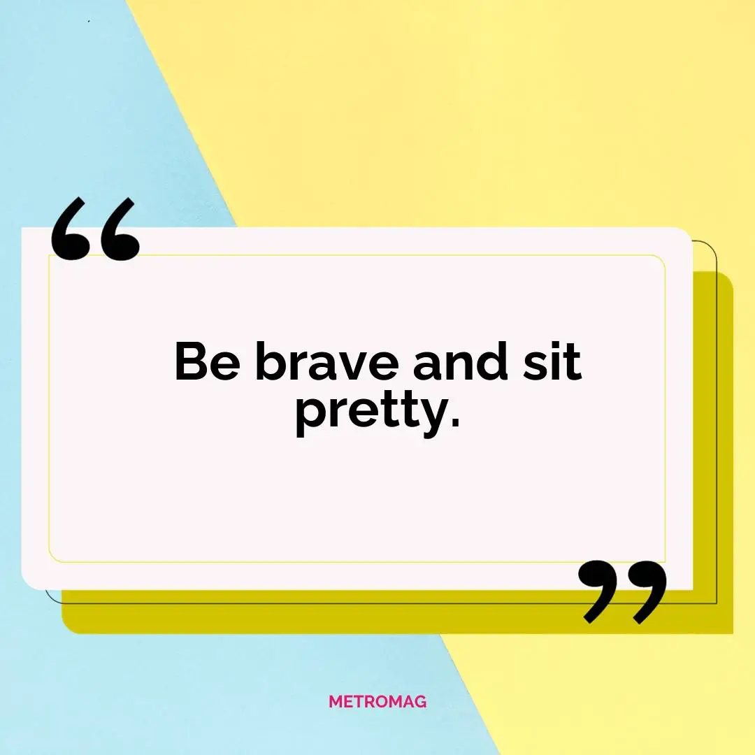 Be brave and sit pretty.