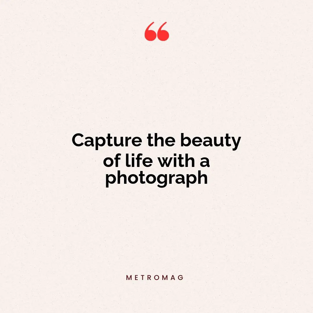 Capture the beauty of life with a photograph