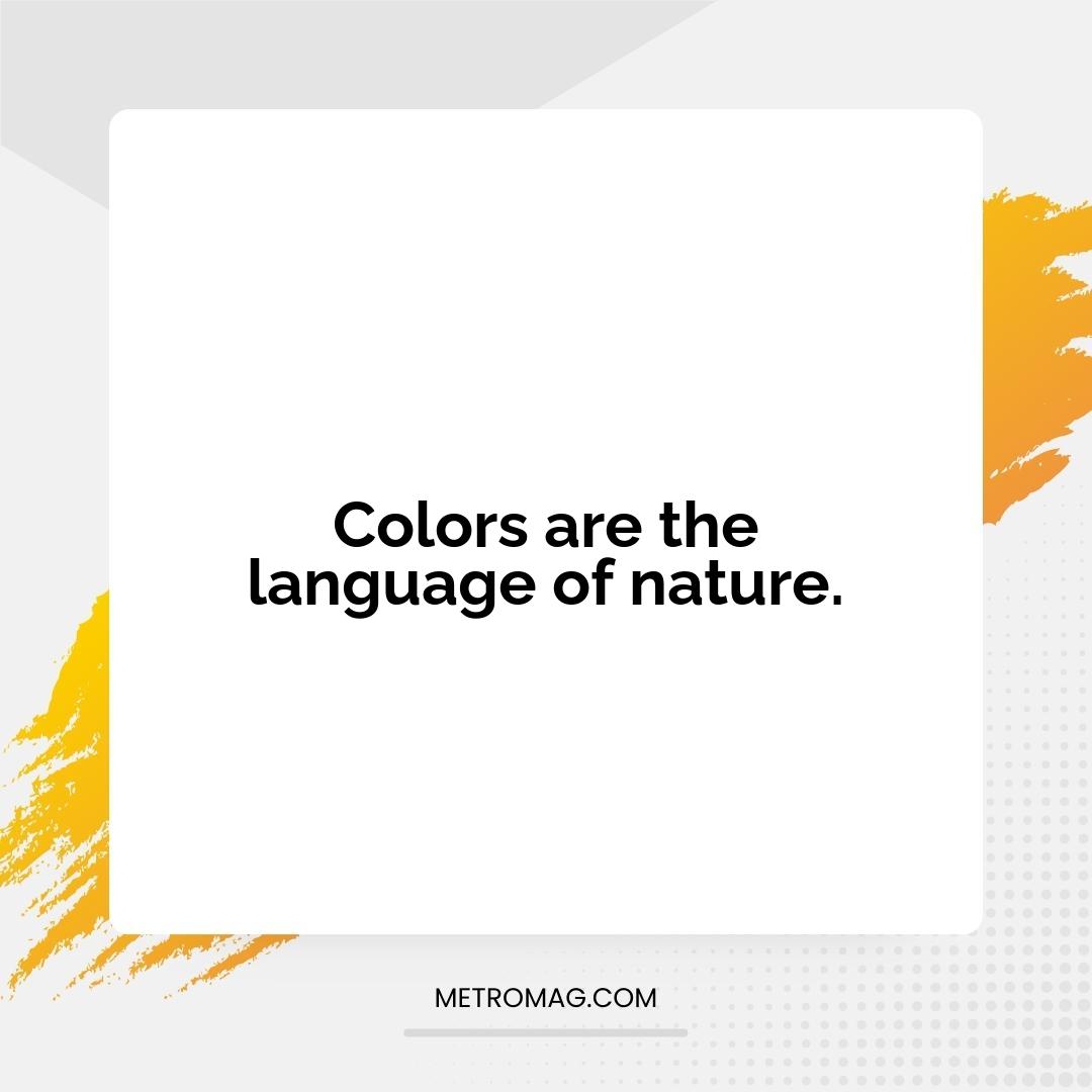 Colors are the language of nature.