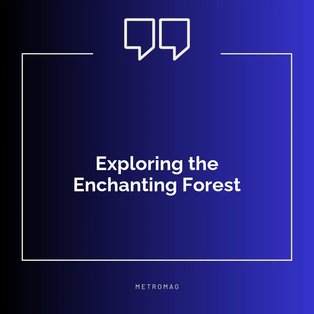 Exploring the Enchanting Forest