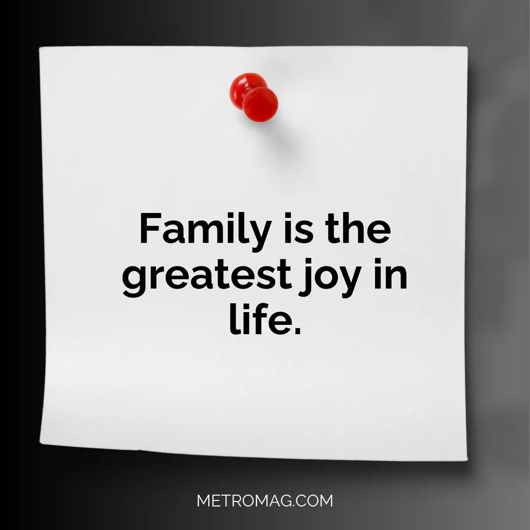 Family is the greatest joy in life.