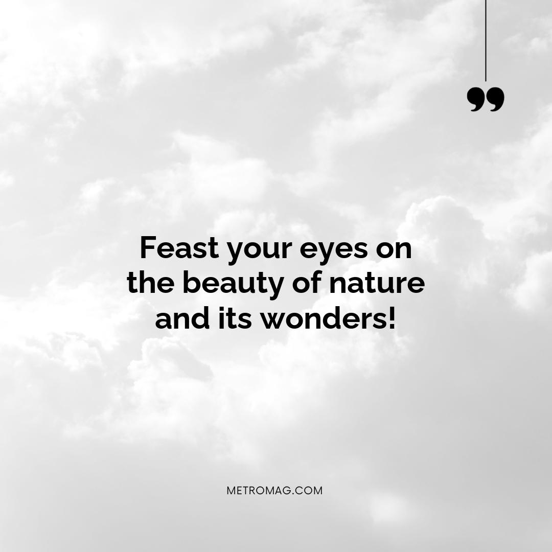 Feast your eyes on the beauty of nature and its wonders!