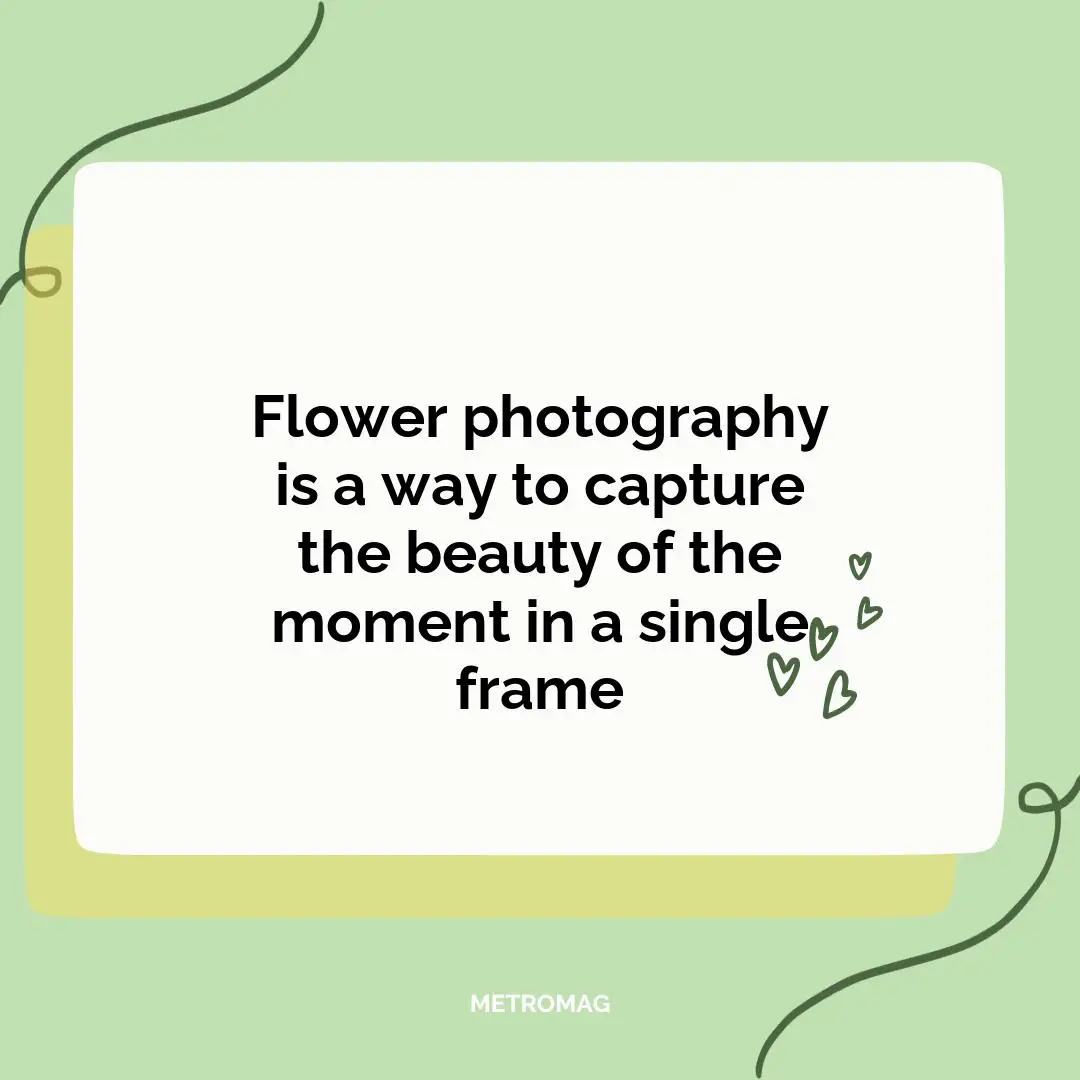 Flower photography is a way to capture the beauty of the moment in a single frame