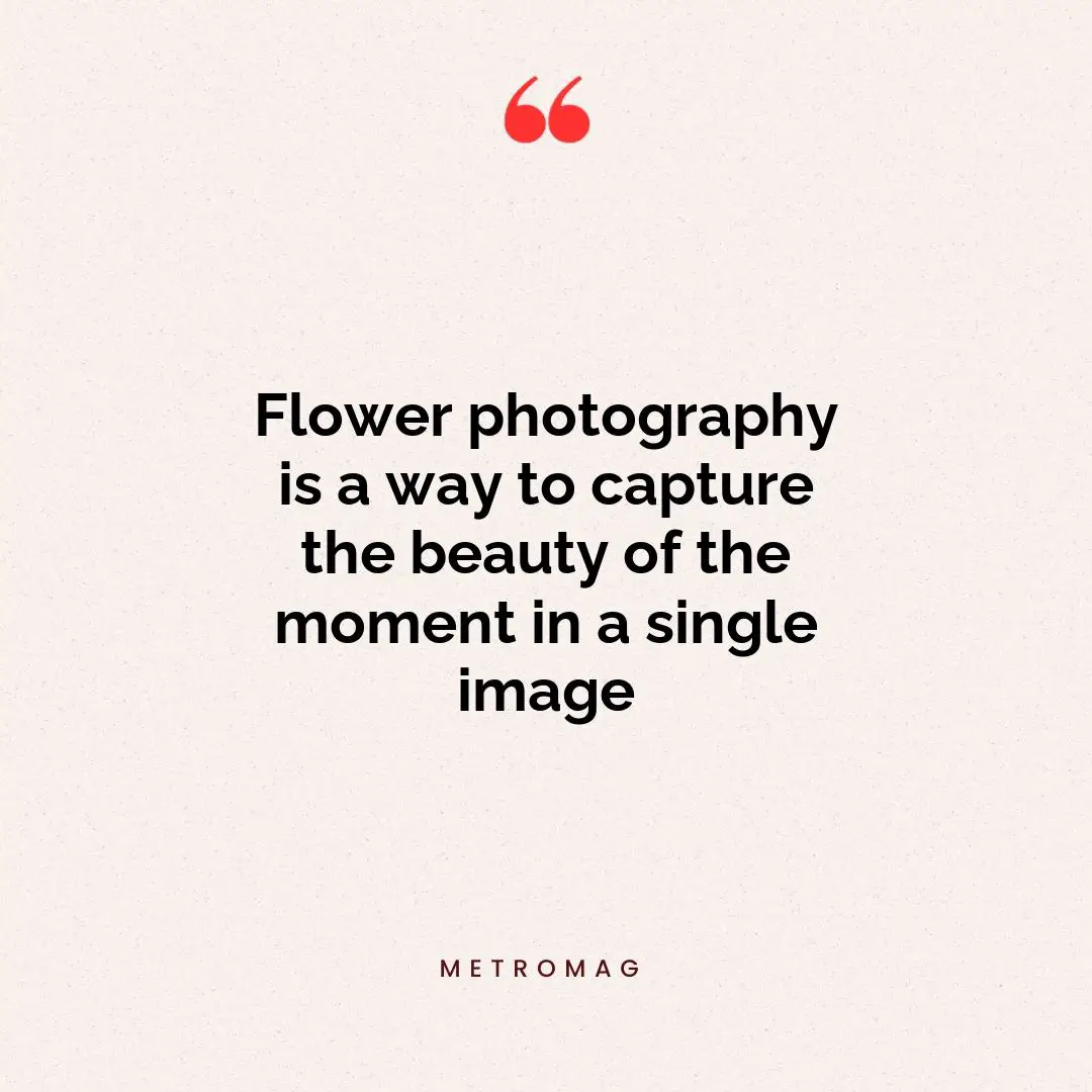 Flower photography is a way to capture the beauty of the moment in a single image