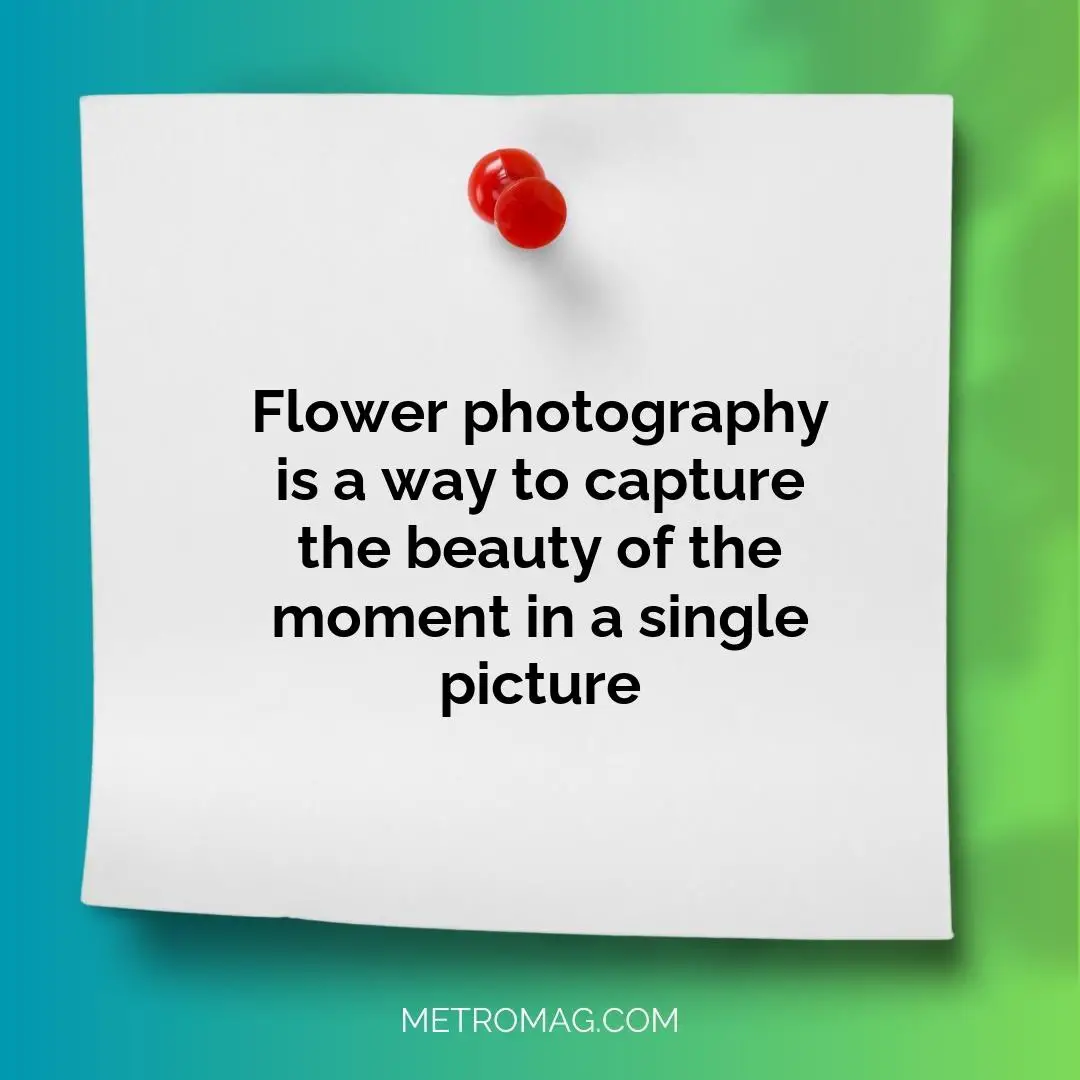 Flower photography is a way to capture the beauty of the moment in a single picture
