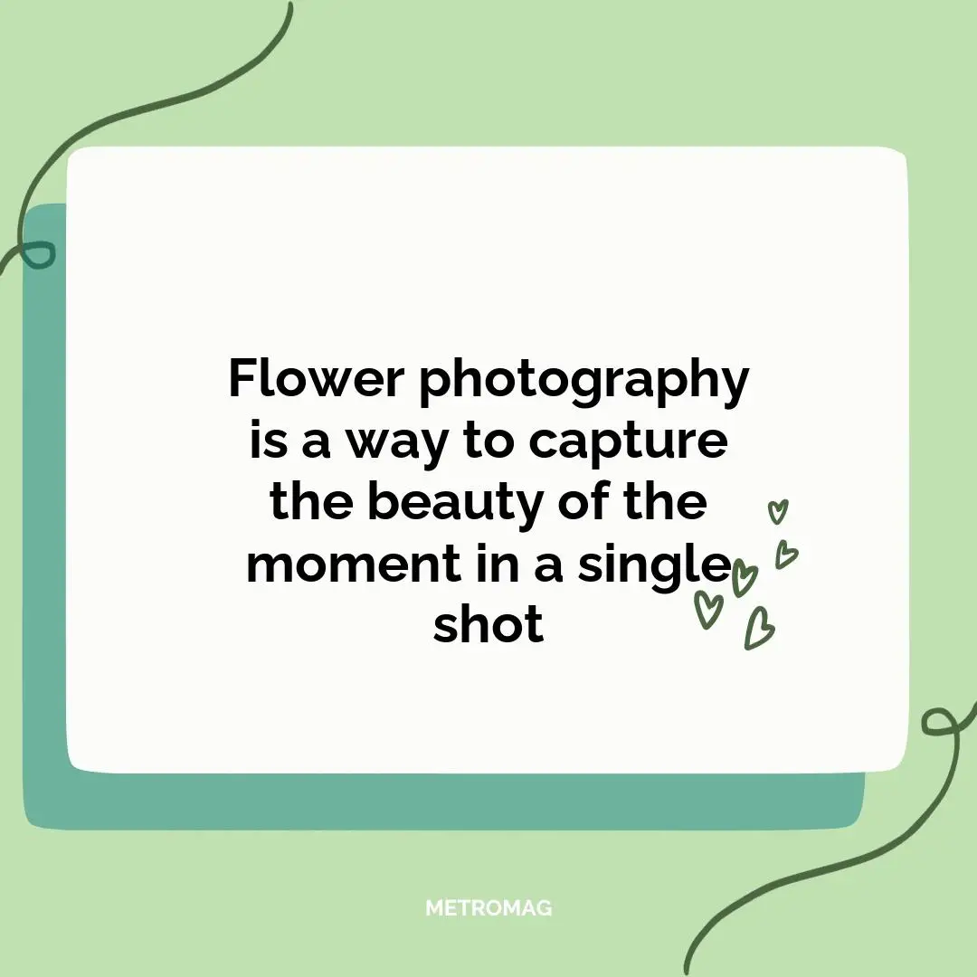 Flower photography is a way to capture the beauty of the moment in a single shot