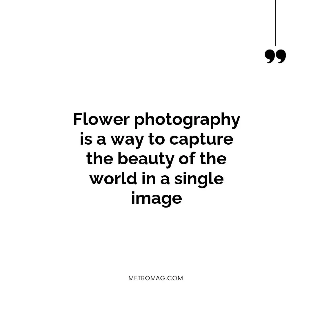 Flower photography is a way to capture the beauty of the world in a single image