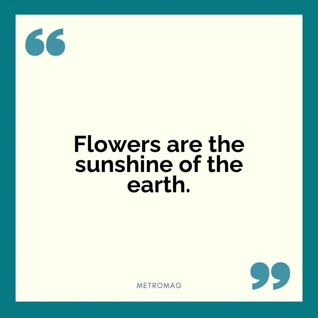Flowers are the sunshine of the earth.