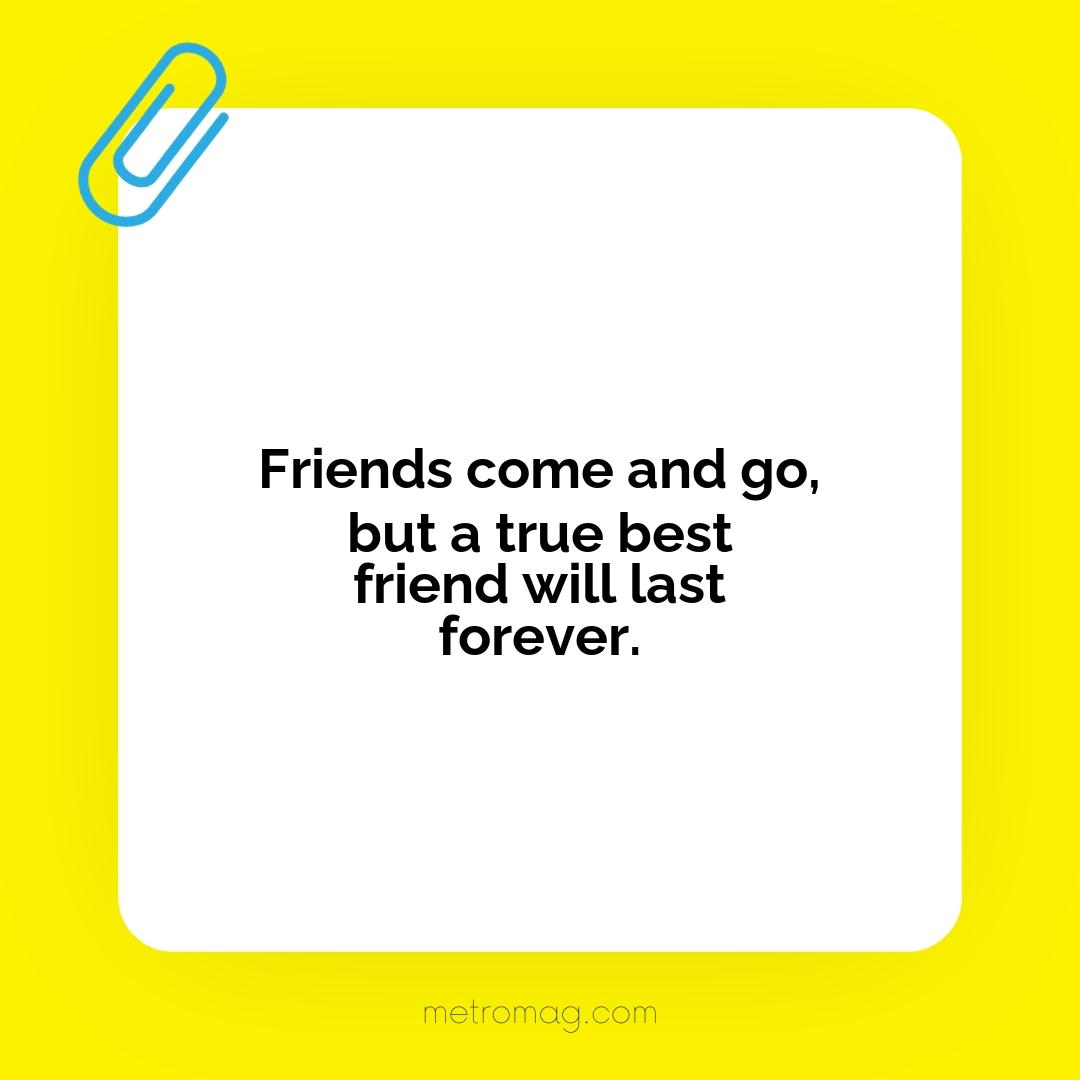 Friends come and go, but a true best friend will last forever.