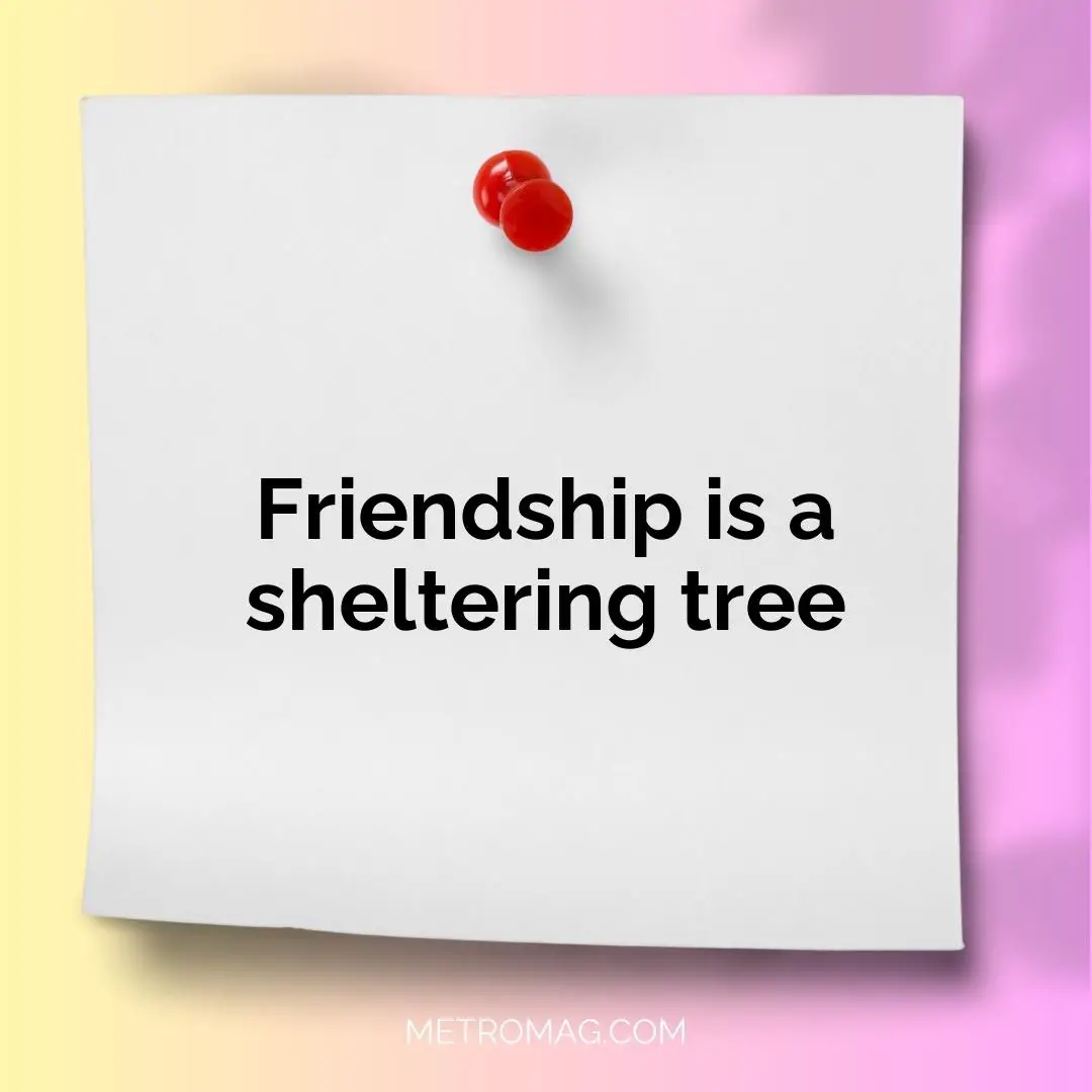 Friendship is a sheltering tree