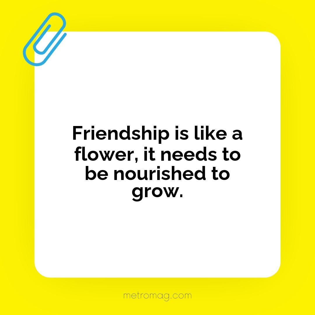 Friendship is like a flower, it needs to be nourished to grow.