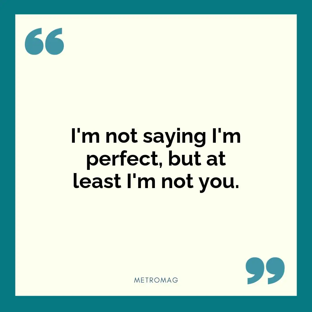 I'm not saying I'm perfect, but at least I'm not you.