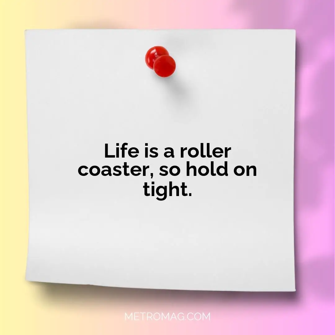Life is a roller coaster, so hold on tight.