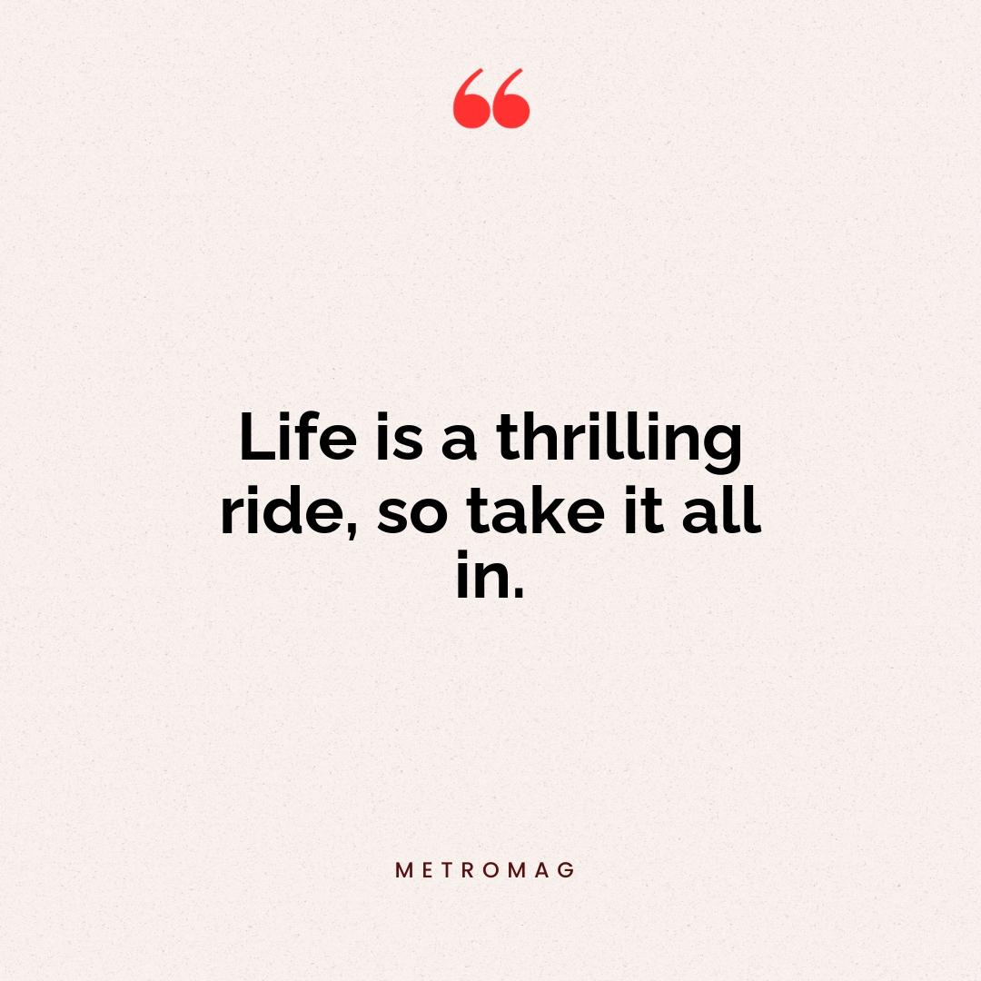 Life is a thrilling ride, so take it all in.