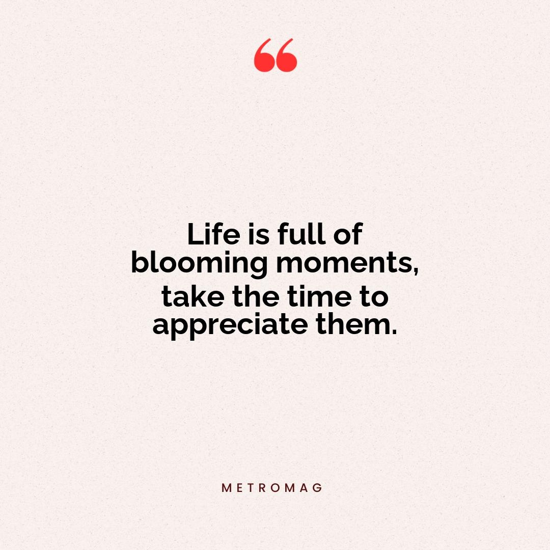 Life is full of blooming moments, take the time to appreciate them.