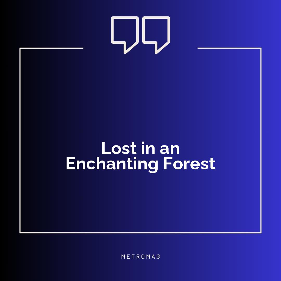 Lost in an Enchanting Forest