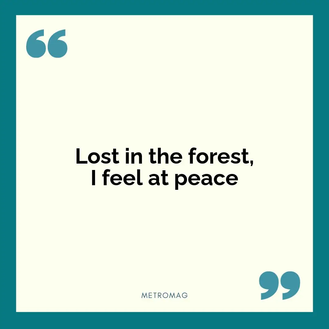 Lost in the forest, I feel at peace