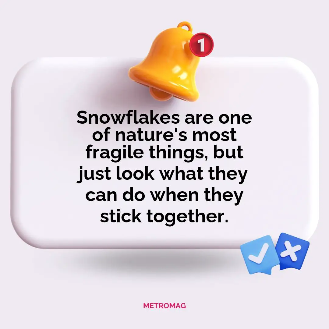 Snowflakes are one of nature's most fragile things, but just look what they can do when they stick together.