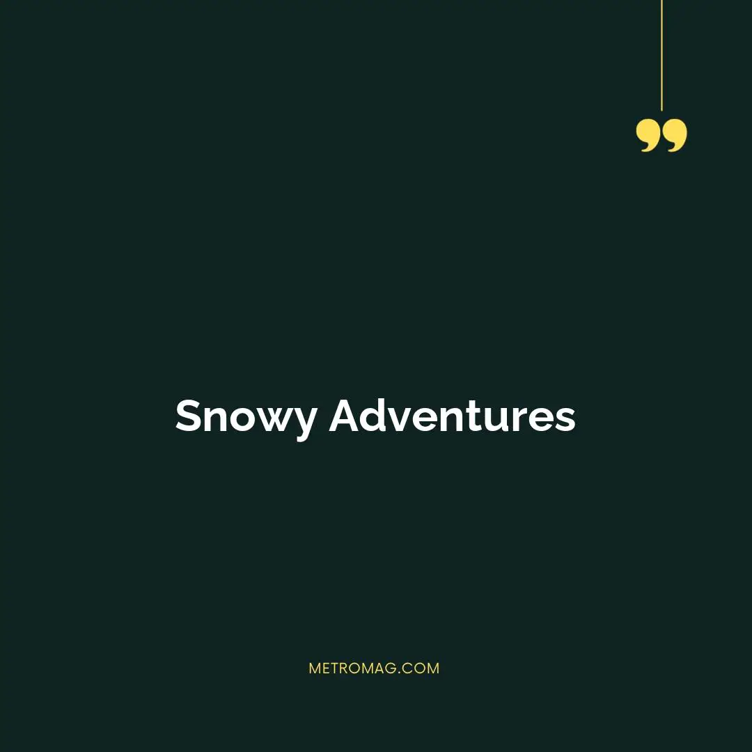 Snowy Adventures