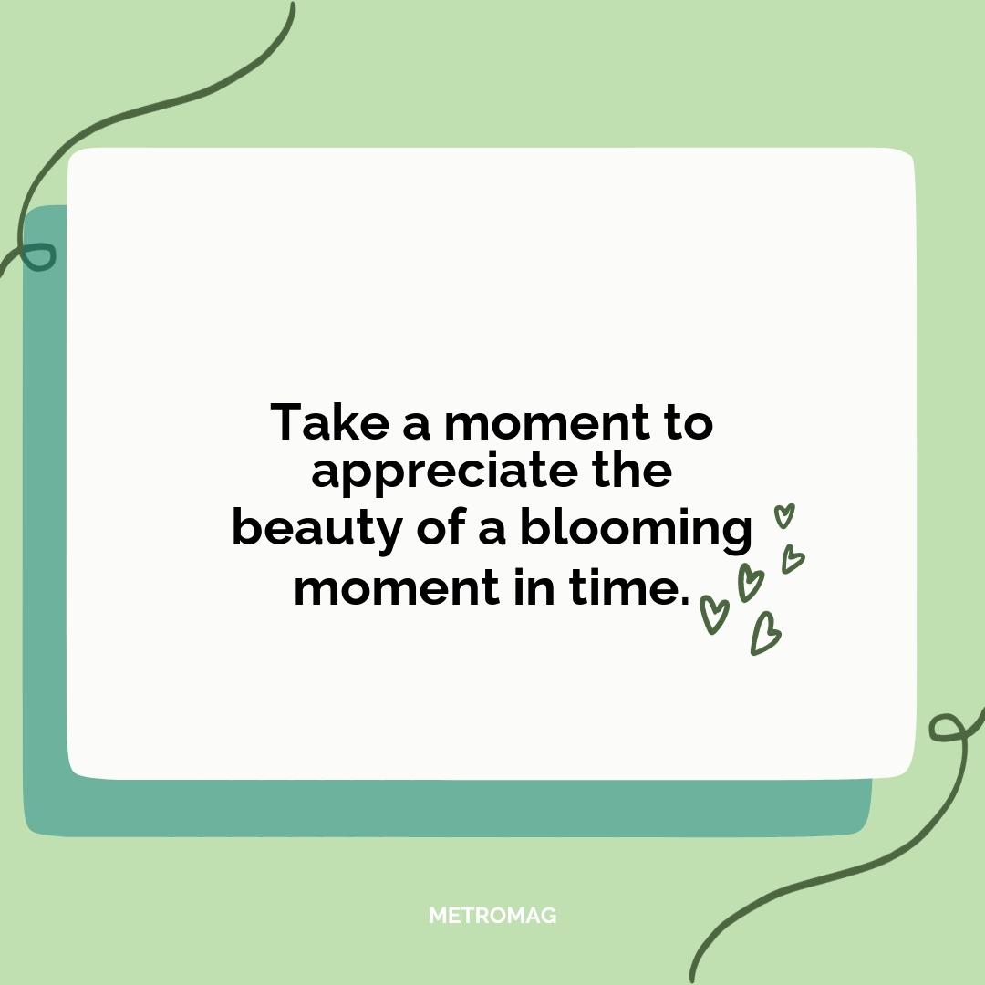 Take a moment to appreciate the beauty of a blooming moment in time.