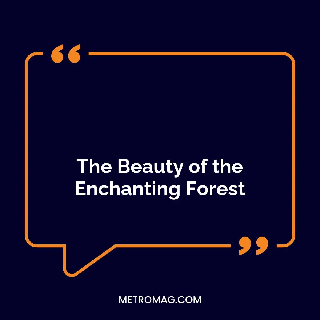 The Beauty of the Enchanting Forest