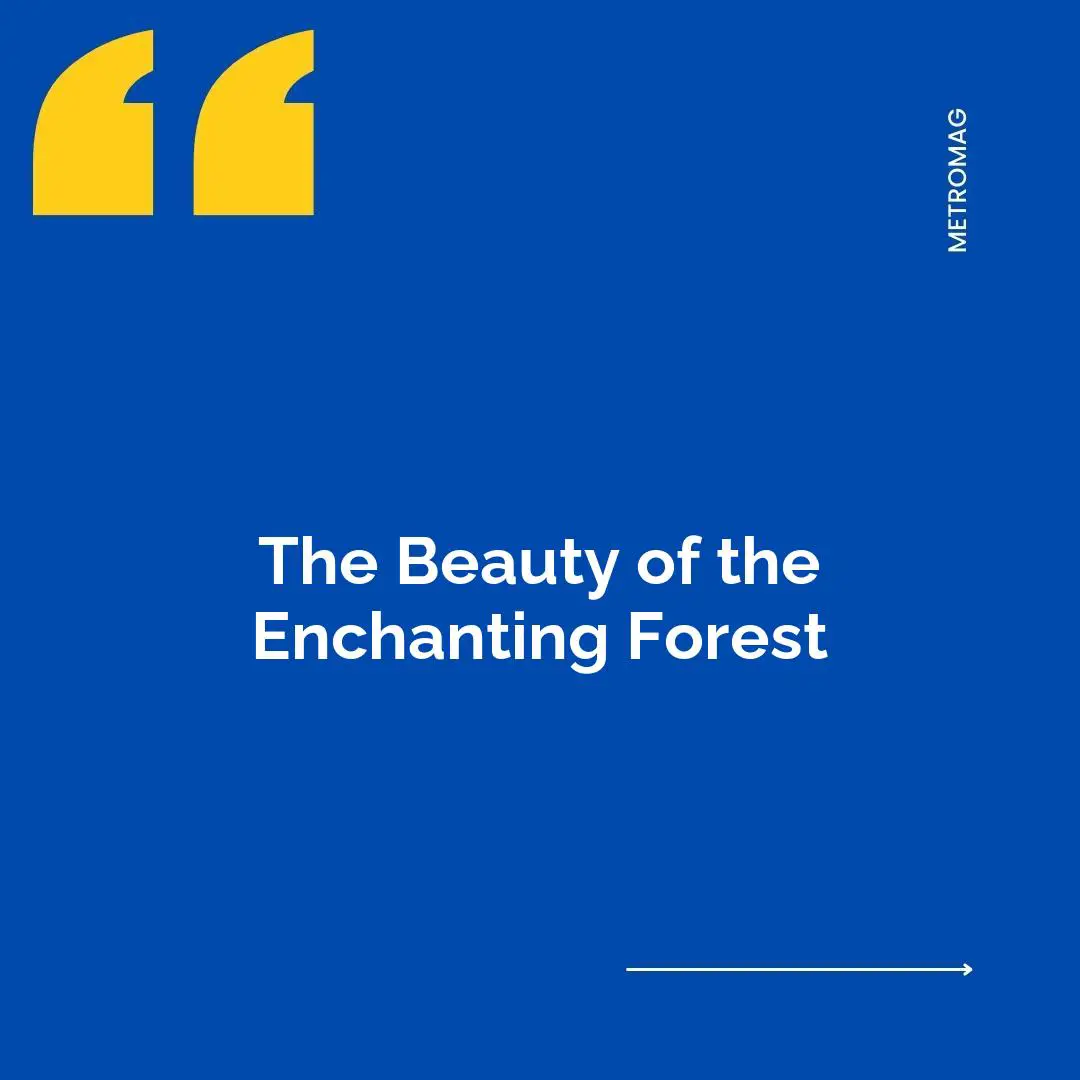 The Beauty of the Enchanting Forest