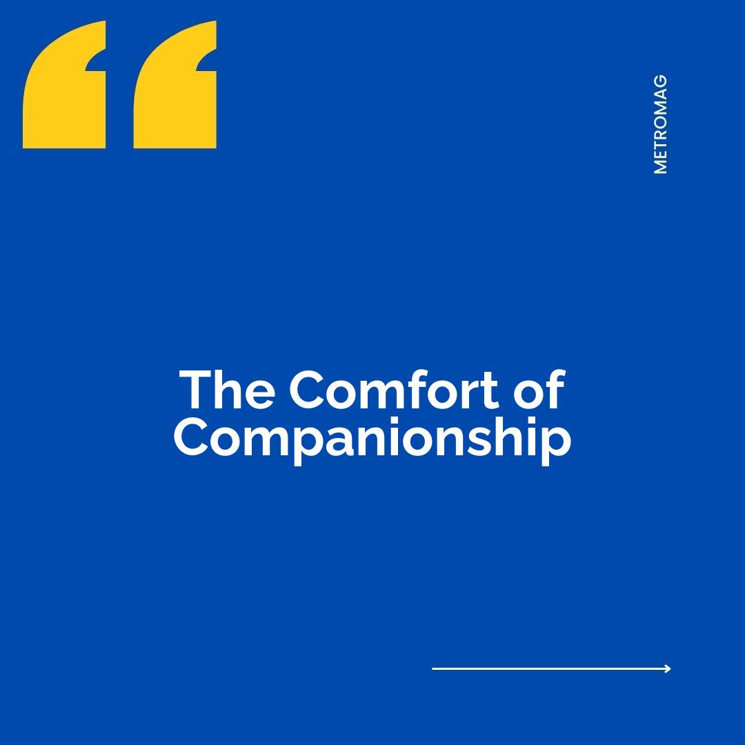 The Comfort of Companionship