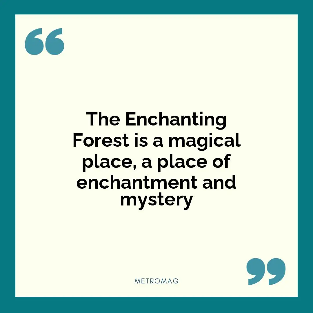 The Enchanting Forest is a magical place, a place of enchantment and mystery