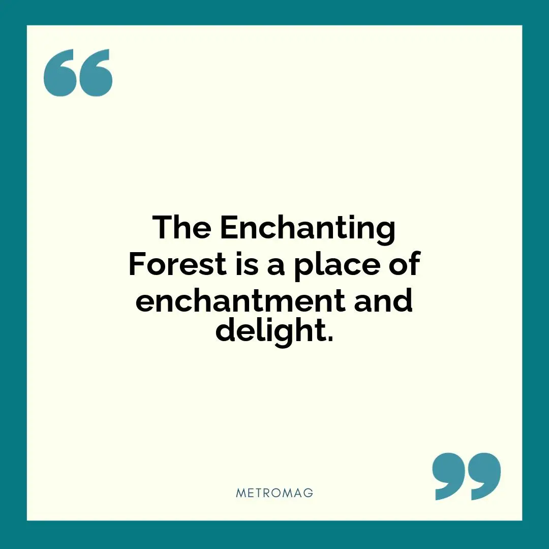The Enchanting Forest is a place of enchantment and delight.