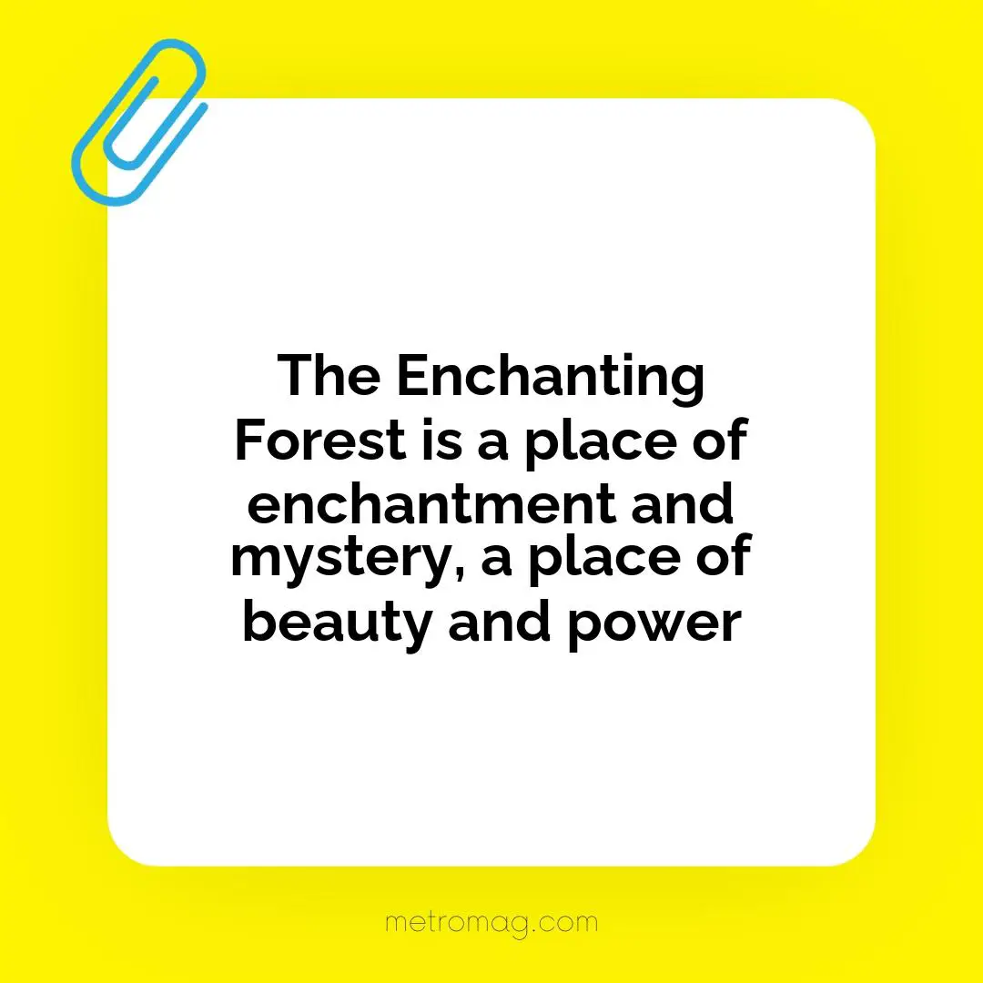 The Enchanting Forest is a place of enchantment and mystery, a place of beauty and power