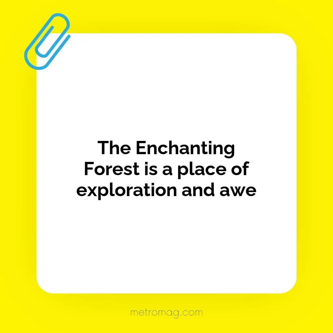 The Enchanting Forest is a place of exploration and awe