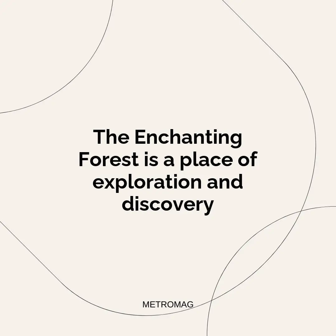The Enchanting Forest is a place of exploration and discovery