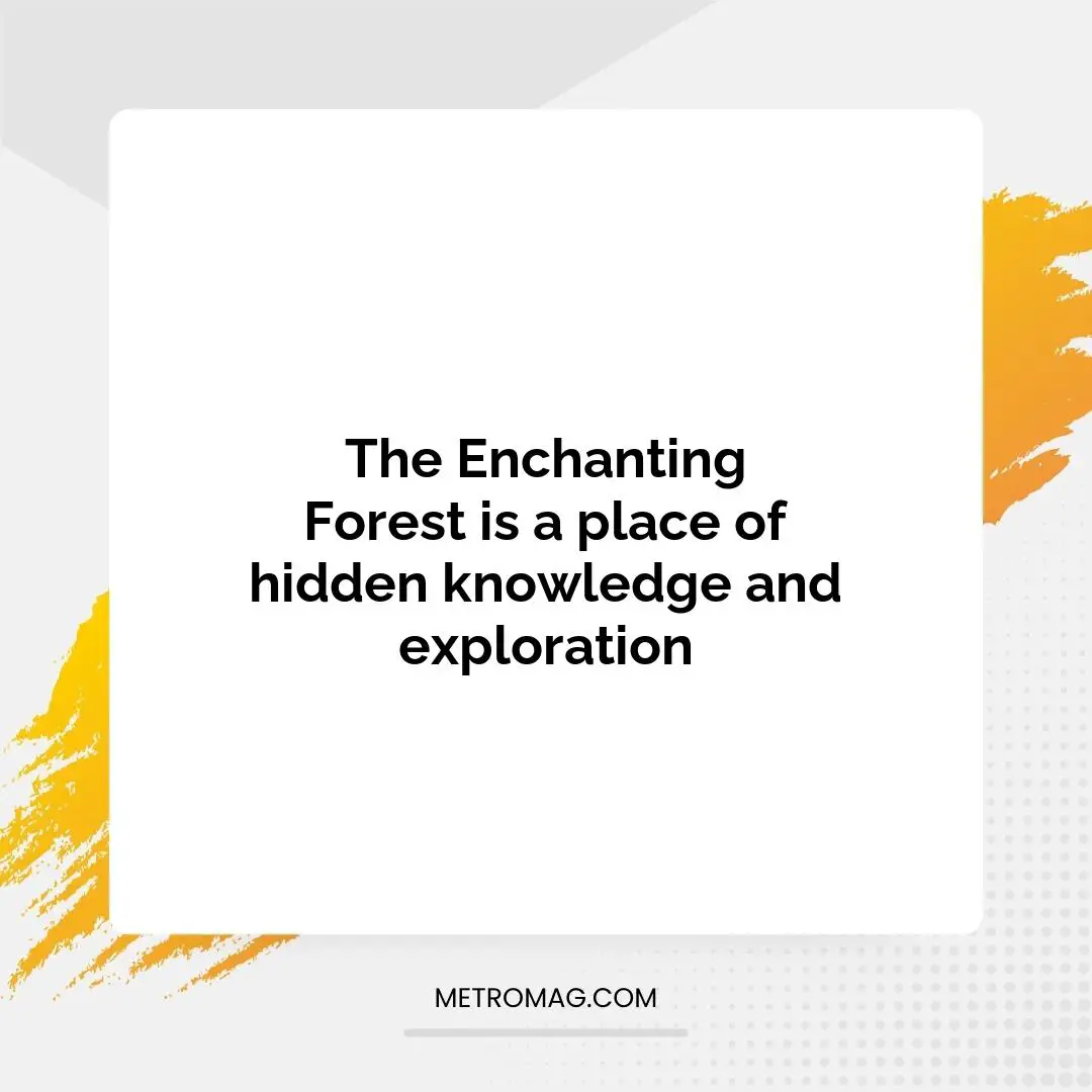 The Enchanting Forest is a place of hidden knowledge and exploration