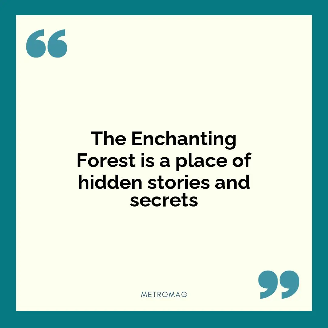 The Enchanting Forest is a place of hidden stories and secrets