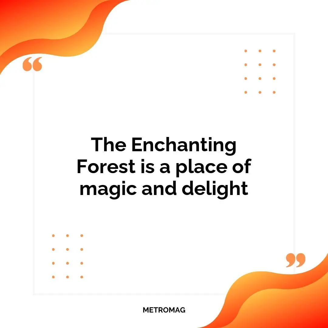 The Enchanting Forest is a place of magic and delight